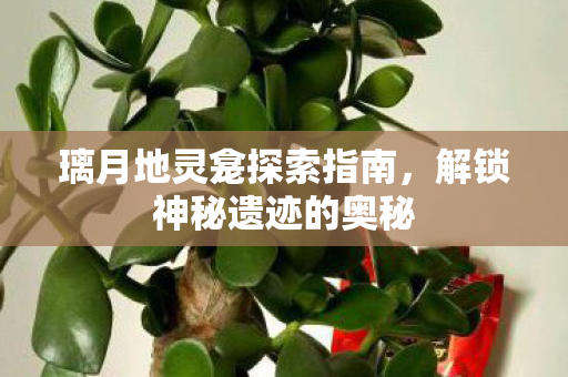 璃月地灵龛探索指南，解锁神秘遗迹的奥秘