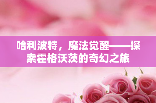 哈利波特,魔法觉醒——探索霍格沃茨的奇幻之旅 哈利波特,魔法觉醒——探索霍格沃茨的奇幻之旅
