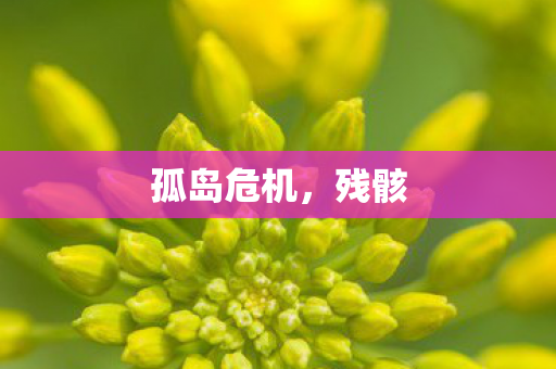 孤岛危机，残骸
