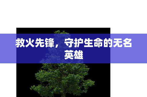 救火先锋，守护生命的无名英雄