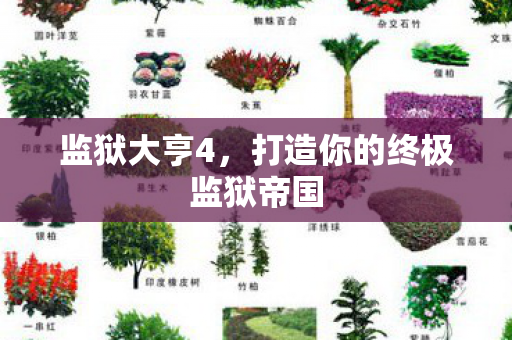 监狱大亨4，打造你的终极监狱帝国