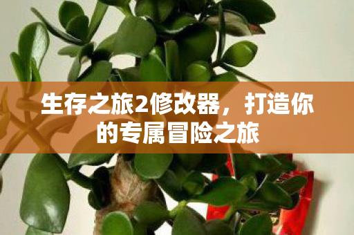 生存之旅2修改器,打造你的专属冒险之旅 生存之旅2修改器,打造你的专属冒险之旅