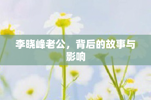李晓峰老公，背后的故事与影响