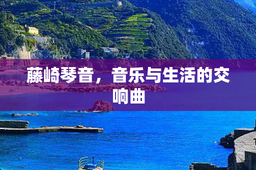 藤崎琴音，音乐与生活的交响曲