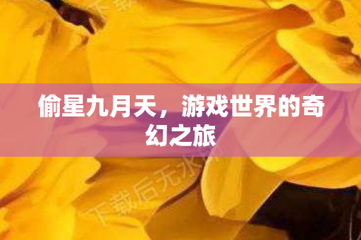 偷星九月天，游戏世界的奇幻之旅