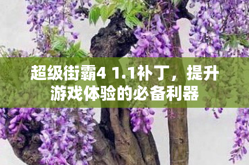 超级街霸4 1.1补丁，提升游戏体验的必备利器