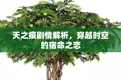 天之痕剧情解析，穿越时空的宿命之恋