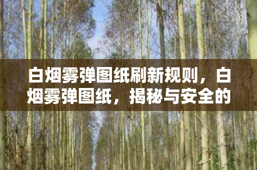 白烟雾弹图纸刷新规则，白烟雾弹图纸，揭秘与安全的双重考量