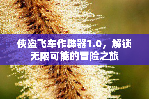 侠盗飞车作弊器1.0，解锁无限可能的冒险之旅