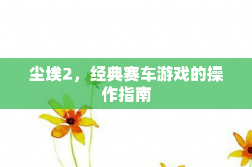尘埃2，经典赛车游戏的操作指南