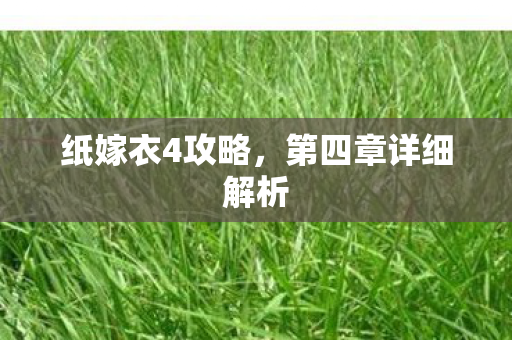 纸嫁衣4攻略，第四章详细解析