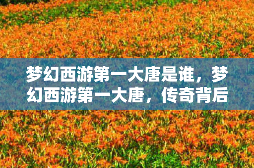 梦幻西游第一大唐是谁,梦幻西游第一大唐,传奇背后的故事 梦幻西游第一大唐是谁,梦幻西游第一大唐,传奇背后的故事