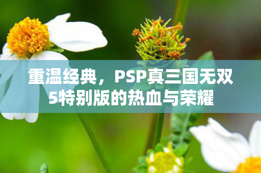重温经典，PSP真三国无双5特别版的热血与荣耀