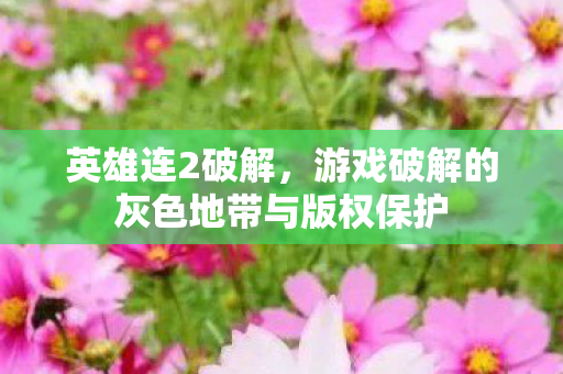 英雄连2破解，游戏破解的灰色地带与版权保护