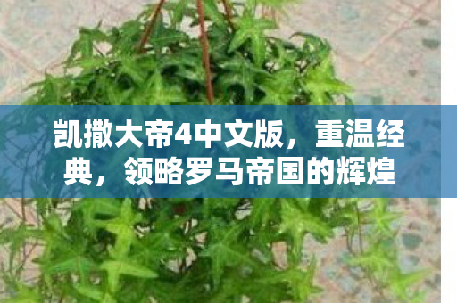凯撒大帝4中文版，重温经典，领略罗马帝国的辉煌