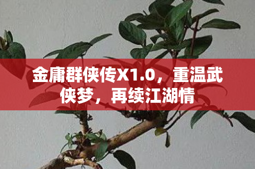 金庸群侠传X1.0，重温武侠梦，再续江湖情