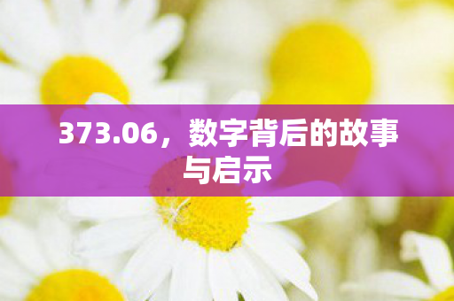 373.06，数字背后的故事与启示