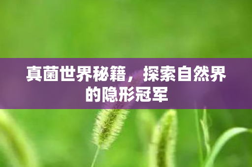 真菌世界秘籍，探索自然界的隐形冠军
