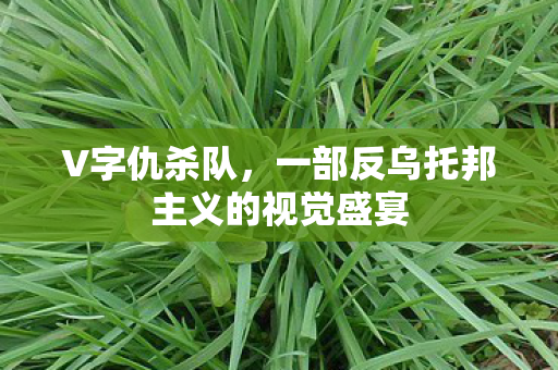 V字仇杀队，一部反乌托邦主义的视觉盛宴