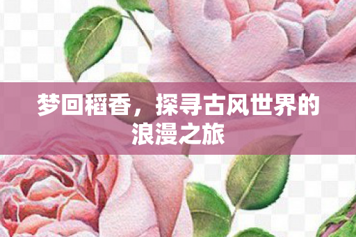 梦回稻香，探寻古风世界的浪漫之旅