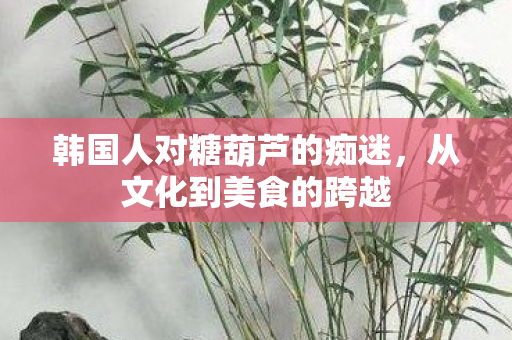 韩国人对糖葫芦的痴迷，从文化到美食的跨越