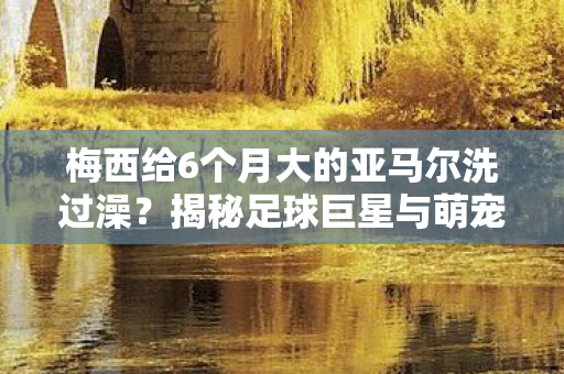 梅西给6个月大的亚马尔洗过澡？揭秘足球巨星与萌宠的温馨瞬间