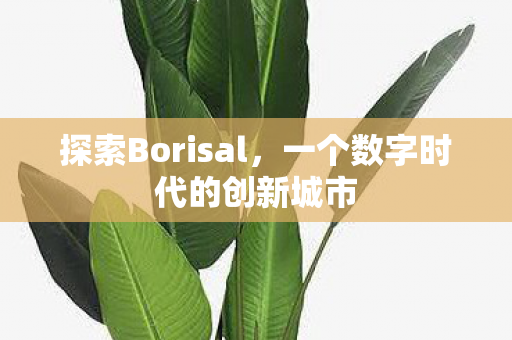 探索Borisal，一个数字时代的创新城市