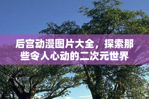 后宫动漫图片大全，探索那些令人心动的二次元世界