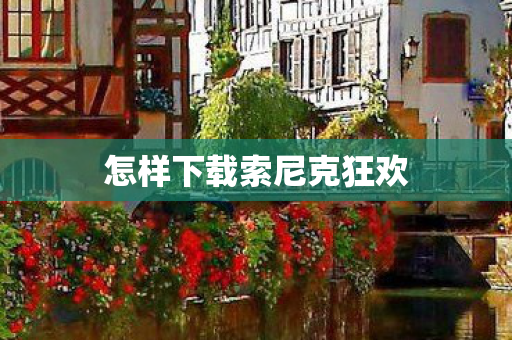 怎样下载索尼克狂欢