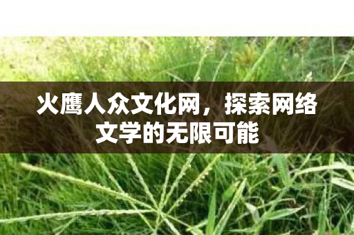 火鹰人众文化网，探索网络文学的无限可能