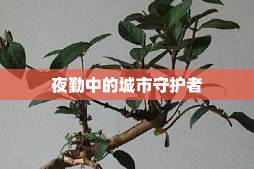 夜勤中的城市守护者