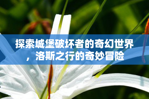 探索城堡破坏者的奇幻世界，洛斯之行的奇妙冒险