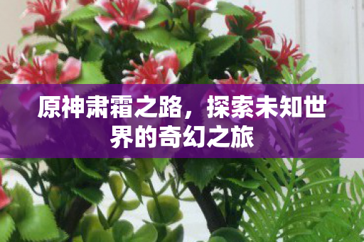 原神肃霜之路，探索未知世界的奇幻之旅