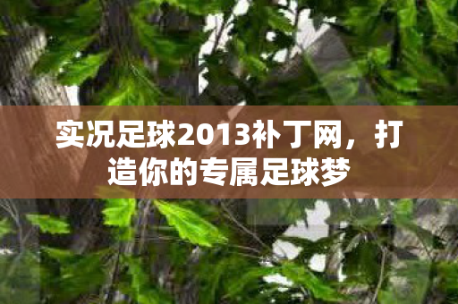 实况足球2013补丁网，打造你的专属足球梦
