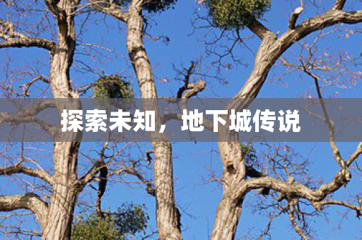探索未知，地下城传说