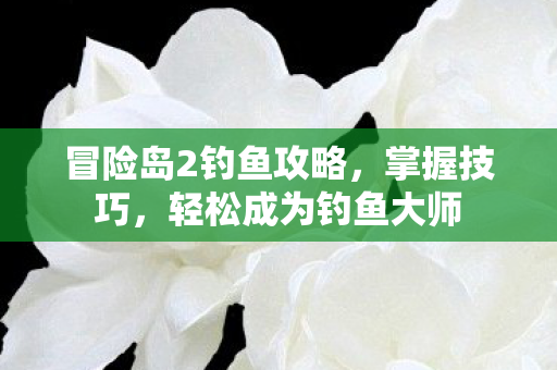 冒险岛2钓鱼攻略，掌握技巧，轻松成为钓鱼大师