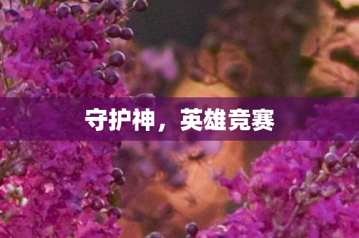 守护神，英雄竞赛
