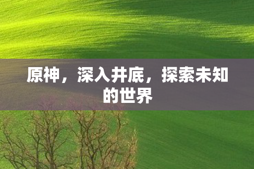 原神，深入井底，探索未知的世界