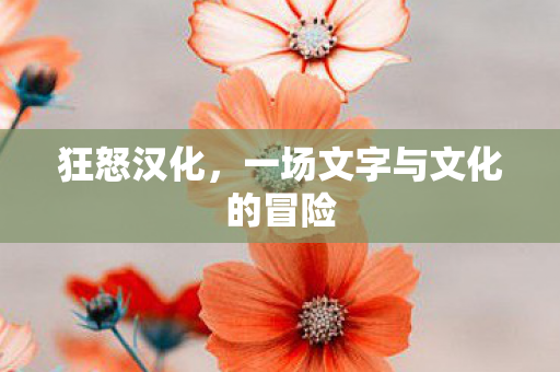 狂怒汉化,一场文字与文化的冒险 狂怒汉化,一场文字与文化的冒险