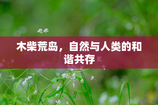 木柴荒岛，自然与人类的和谐共存
