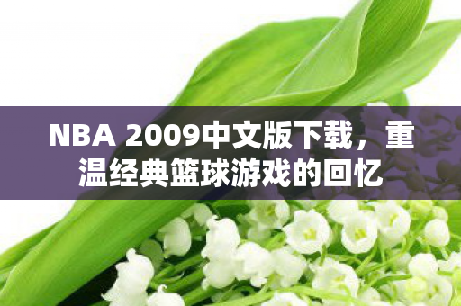 NBA 2009中文版下载图片