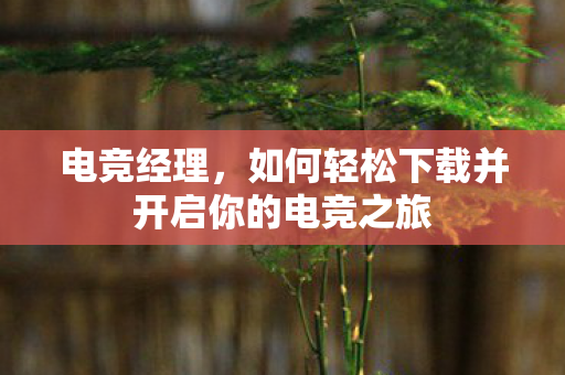 电竞经理，如何轻松下载并开启你的电竞之旅