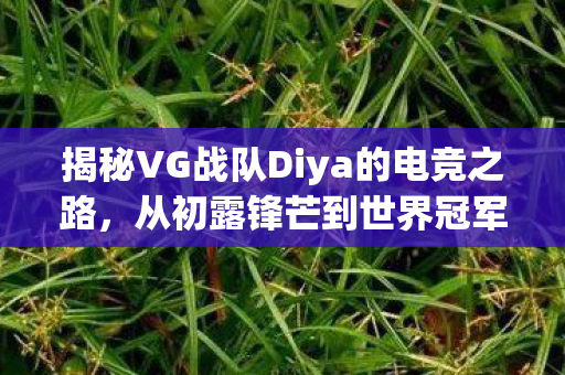 揭秘VG战队Diya的电竞之路，从初露锋芒到世界冠军的传奇之旅