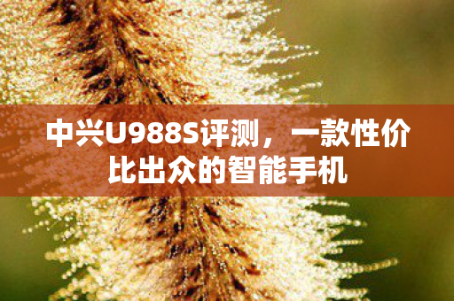 中兴U988S评测，一款性价比出众的智能手机