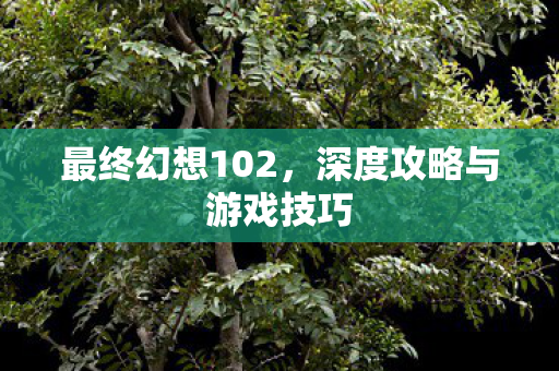 最终幻想102，深度攻略与游戏技巧
