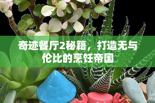 奇迹餐厅2秘籍，打造无与伦比的烹饪帝国