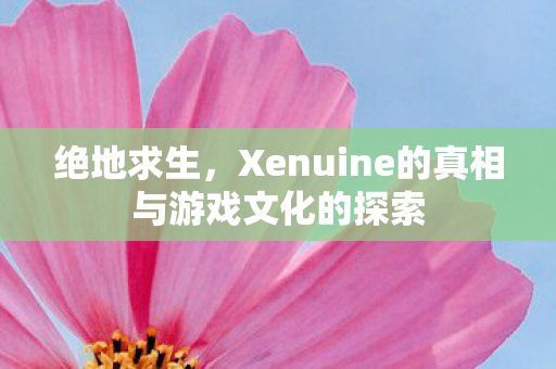 绝地求生，Xenuine的真相与游戏文化的探索