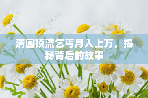 清园顶流乞丐月入上万，揭秘背后的故事