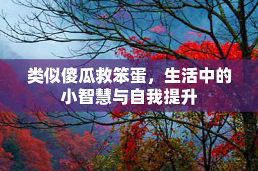 类似傻瓜救笨蛋，生活中的小智慧与自我提升