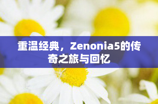 重温经典，Zenonia5的传奇之旅与回忆